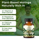 dharishah-ayurveda-organic-moringa-table-81NxsqnOEfL.jpg