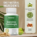 herbal-max-garcinia-cambogia-capsules-60-71HSVSF-IyL.jpg