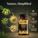 haritaki-capsules-by-naturevibe-botanica-81GWdnRBgOL.jpg