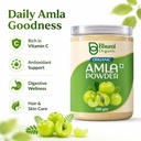 bhumi-organic-pure-amla-powder-for-hair--61za2Z6ZXML.jpg