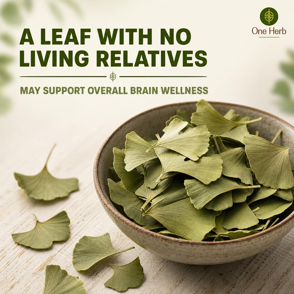 one-herb-ginkgo-biloba-tea-leaves-100g-m-71ieDm7kafL.jpg
