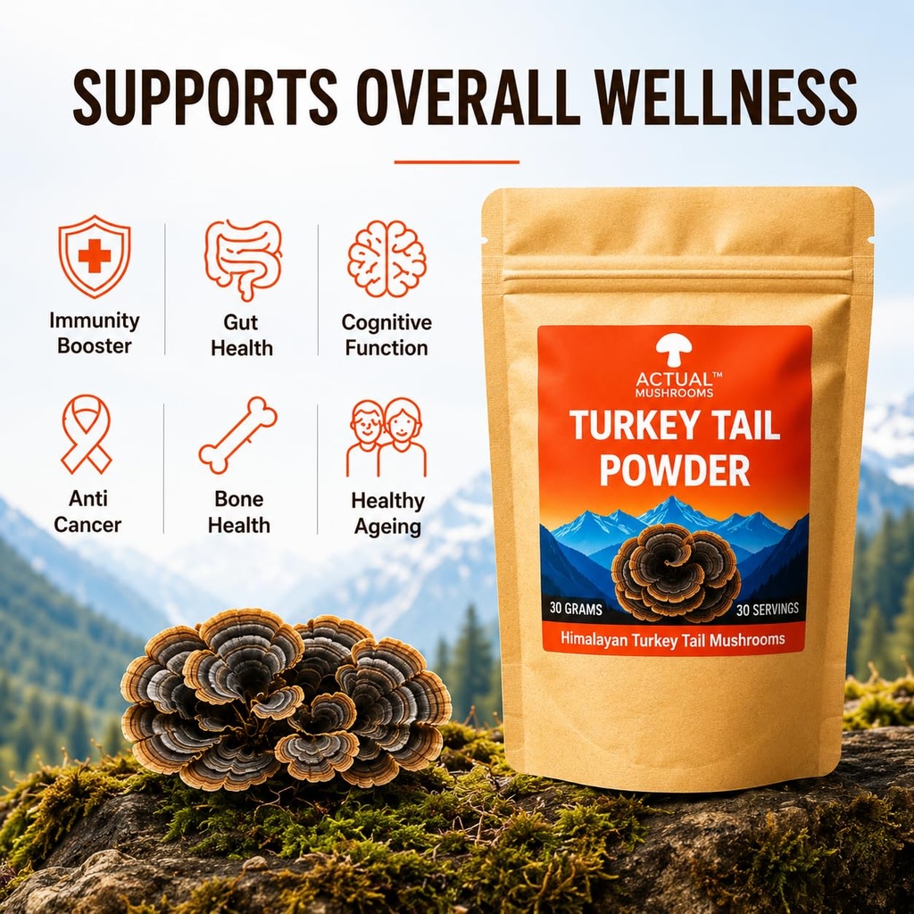 himalayan-turkey-tail-mushroom-powder-30-71T-NTejJBL.jpg