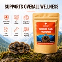 himalayan-turkey-tail-mushroom-powder-30-71T-NTejJBL.jpg