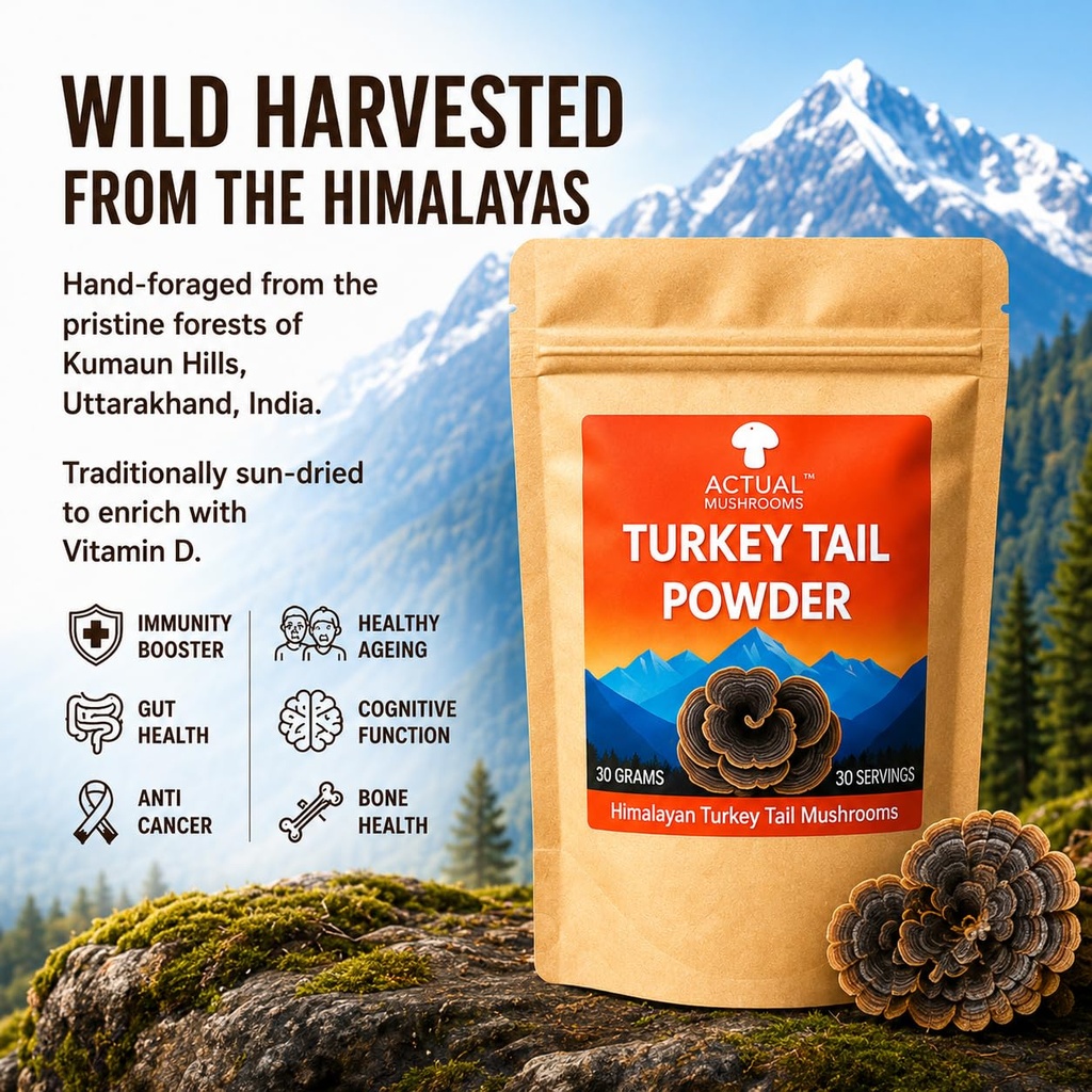 himalayan-turkey-tail-mushroom-powder-30-71V4fIvxFeL.jpg
