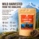 himalayan-turkey-tail-mushroom-powder-30-71V4fIvxFeL.jpg