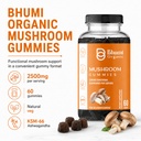 mushroom-gummies-2500mg-60-gummies-sugar-71AnPJOZ1WL.jpg