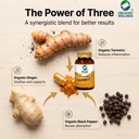 organic-wellness-turmeric-90-capsules-i--81Z2Xx-QO9L.jpg