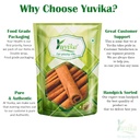 yuvika-dalchini-gol-cigar-quality-cinnam-611ijjY-q+L.jpg