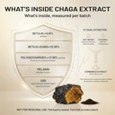 alchemy-dose-chaga-mushroom-extract-powd-81XMXY1ZW0L.jpg