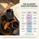 alchemy-dose-chaga-mushroom-extract-powd-910GQxxwIvL.jpg