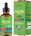 4-in-1-mullein-drops-for-lungs-organic-m-2.jpg