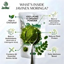 moringa-powder-200g-leaves-powder-for-ea-81vlk3V0GBL.jpg