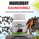 kapikachhu-60-veg-tablets-mucuna-puriens-81gh0BHsalL.jpg