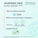 merlion-naturals-milk-thistle-and-dandel-71HXxF6++1L.jpg