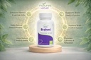 nature-s-velvet-lifecare-brahmi-bacopa-m-6120yr9P2dL.jpg