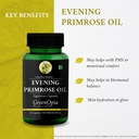evening-primrose-oil-500mg-60-veg-capsul-613gz5KIVVL.jpg