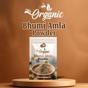 bhumi-amla-powder-churn-250-gm-organic-i-81UAkY9o6wL.jpg