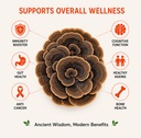 himalayan-turkey-tail-mushroom-extract-3-71Ave5h9qVL.jpg