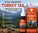 himalayan-turkey-tail-mushroom-extract-3-7172VNRDRzL.jpg