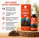 himalayan-turkey-tail-mushroom-extract-3-71oMqBhRM4L.jpg