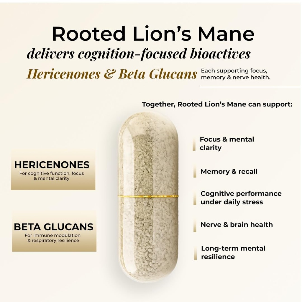rooted-lion-s-mane-mushroom-extract-caps-61AFJH7SQqL.jpg