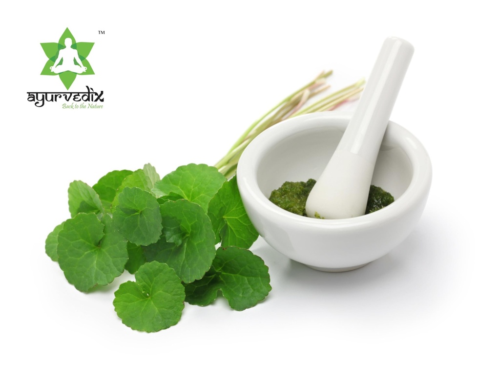 organic-gotu-kola-powder-centella-asiati-61VvH+4CIzL.jpg