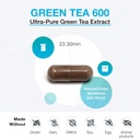 xymogen-green-tea-600-60-capsules-71-1g9l6PhL.jpg