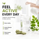 premium-moringa-capsules-1000mg-natural--61HvBgyDPFL.jpg