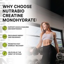 nutrabio-pure-micronized-creatine-monohy-71pguDniLsL.jpg