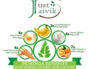 just-jaivik-organic-moringa-powder-pure--613fhzAibTL.jpg