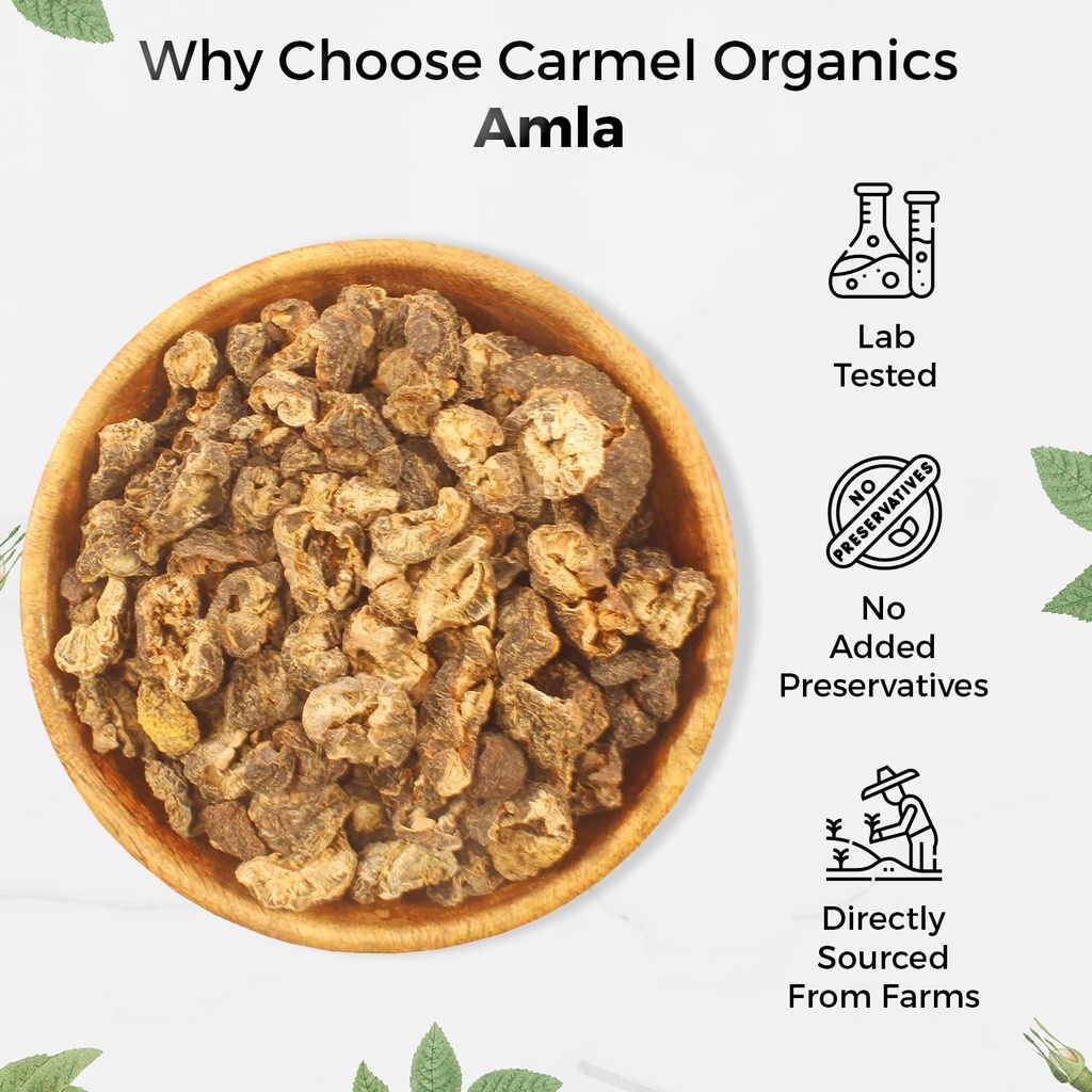 carmel-organics-amla-fruit-seedless-250--71x-XuYUqeL.jpg