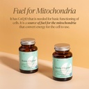 zita-west-kaneka-coq10-ubiquinol-highly--3.jpg