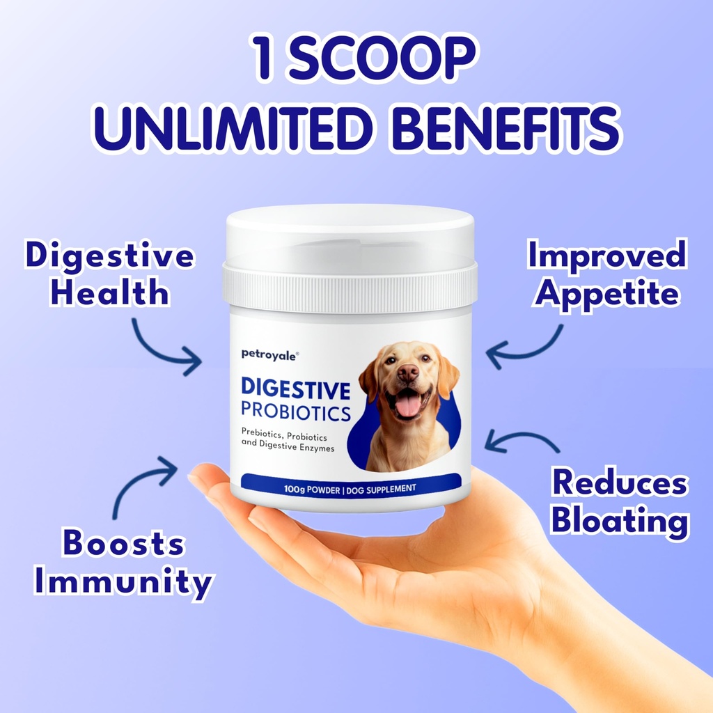 petroyale-digestive-probiotics-for-dogs--81aLirh+adL.jpg