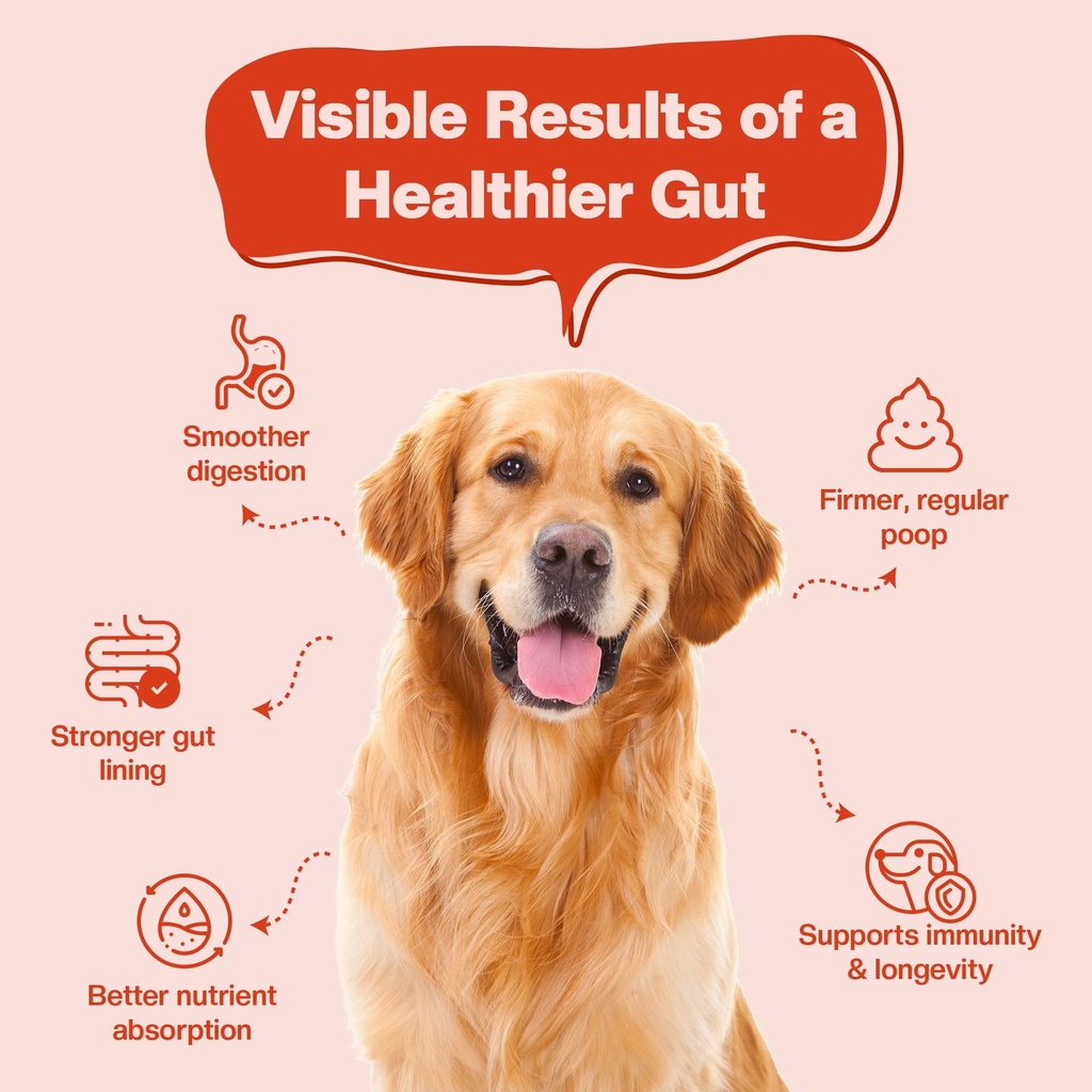 blep-super-gut-booster-dog-probiotic-sof-71EZ4Ac0TPL.jpg
