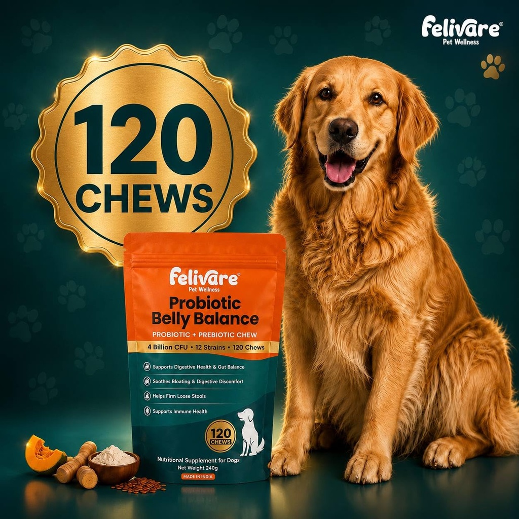 probiotic-chews-for-dogs-120-chews-240g--71ndVagRh2L.jpg