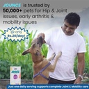 jounce-hip-joint-supplement-for-dogs-30--71xi3jQ7W9L.jpg