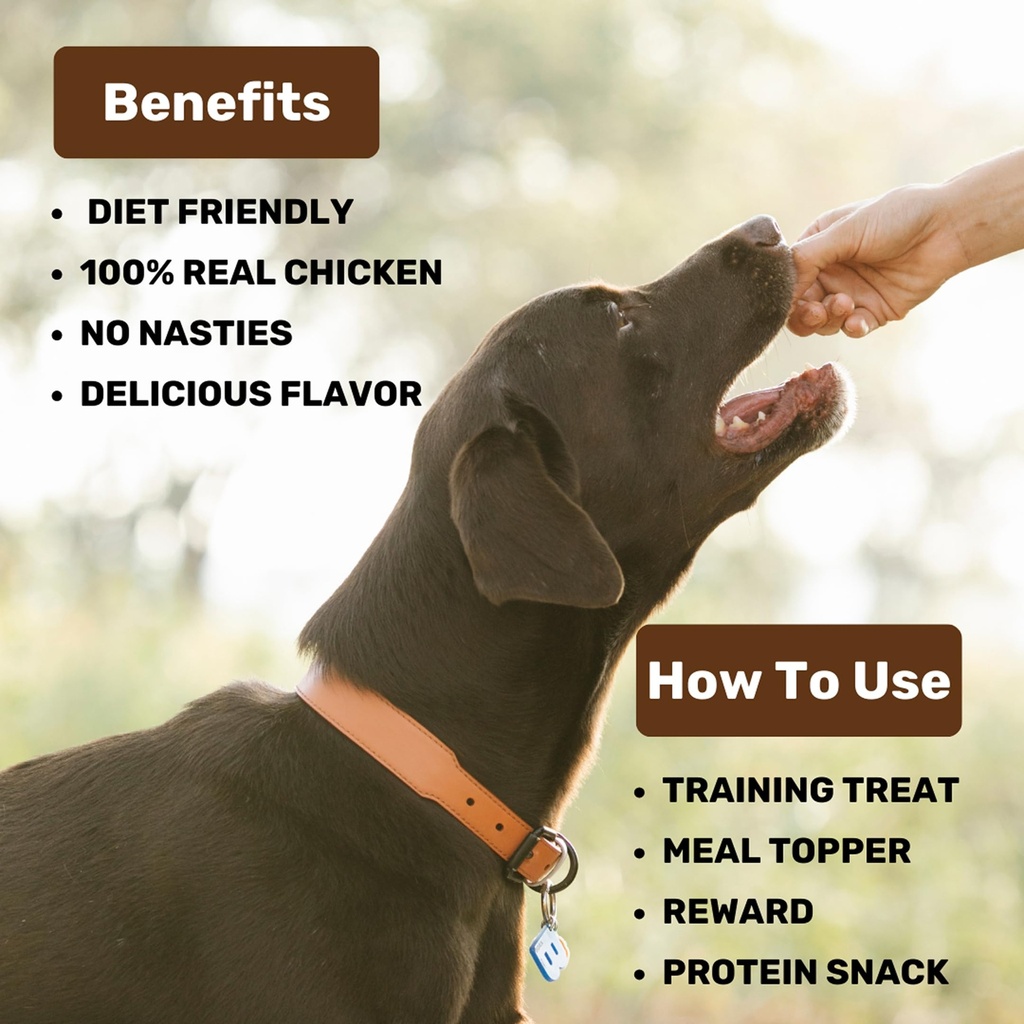 absolut-pet-probiotic-chews-chicken-jerk-71tJAfIbKqL.jpg