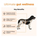petsapiens-pre-probiotic-supplement-120g-71+6hWe2JEL.jpg