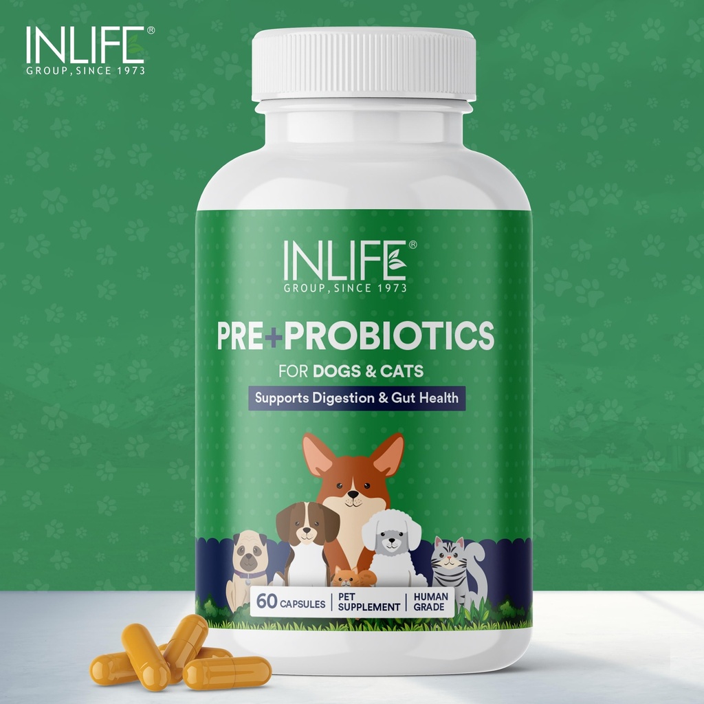 inlife-pre-and-probiotics-supplement-for-71uSZAPdFWL.jpg