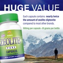 zeolite-pure-capsules-zeolite-detox-extr-91tVRNblBpL.jpg