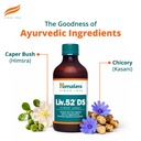 himalaya-liv-52-ds-liquid-syrup-blue-200-61n0vW4+HTL.jpg