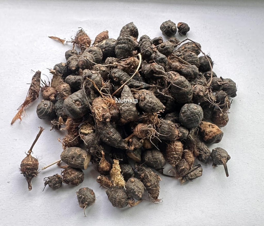 nagarmotha-sedge-root-cyperus-rotundus-2-91RHnzVXfyL.jpg