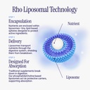 rho-nutrition-liposomal-nad-liquid-suppl-61IrpHt0CiL.jpg