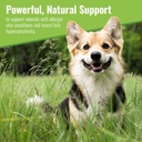 mushroom-matrix-canine-organic-mushroom--2.jpg
