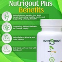 nutrigout-plus-uric-acid-support-and-the-2.jpg