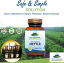 pure-mountain-botanicals-stinging-nettle-3.jpg
