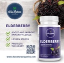 elderberry-capsules-1000mg-organic-herba-3.jpg