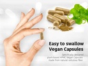 dr-wakdes-carom-seed-capsules-celery-see-4.jpg