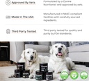 kayode-daily-multi---dog-multivitamin-su-5.jpg
