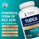 dr-berg-tudca-supplement-tauroursodeoxyc-2.jpg
